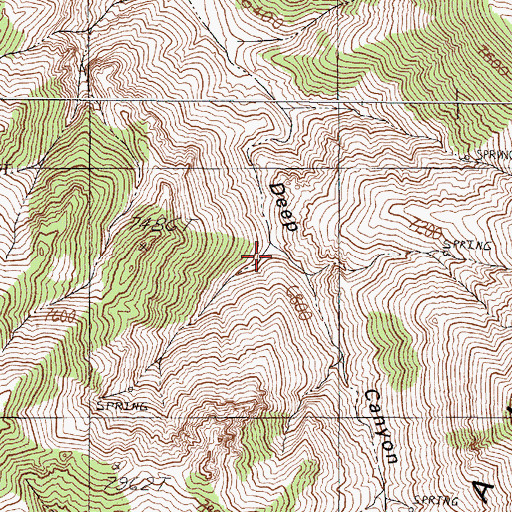 Topographic Map of Deer Canyon Spring, NV