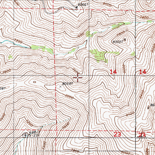 Topographic Map of Willow Spring, NV