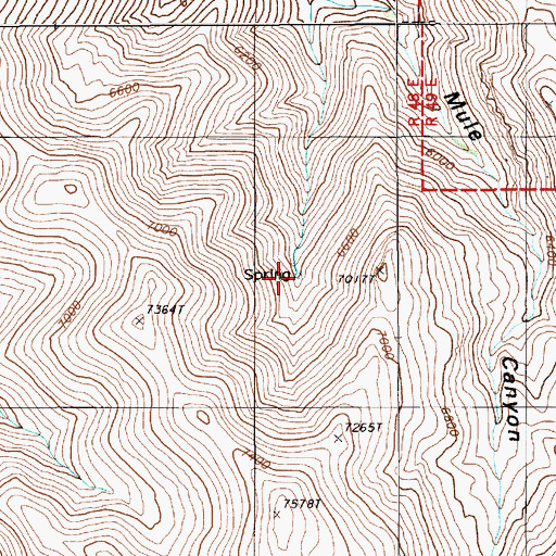 Topographic Map of Mule Canyon Spring, NV