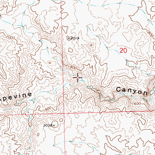 Topographic Map of Sacatone Canyon, NV