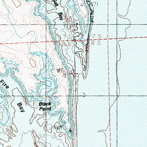 Topographic Map of Salt Ravine, NV
