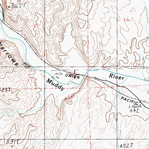 Topographic Map of Jackson (historical), NV