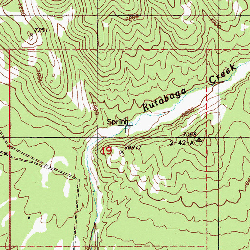 Topographic Map of Rutabaga Spring, NV