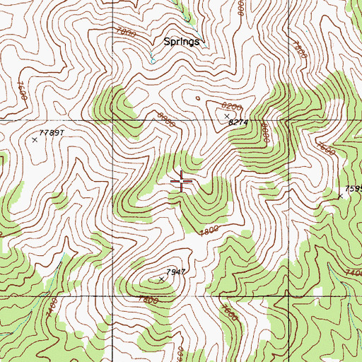 Topographic Map of Deer Spring, NV