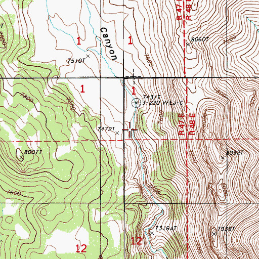 Topographic Map of Dickenson Spring, NV