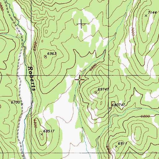 Topographic Map of Cherry Spring, NV