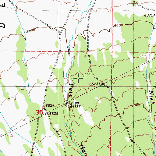 Topographic Map of Lower Tonkin Creek Spring, NV
