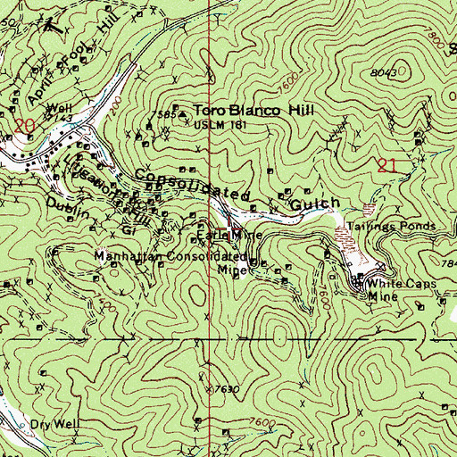 Topographic Map of Manhattan Consolidated Mill, NV