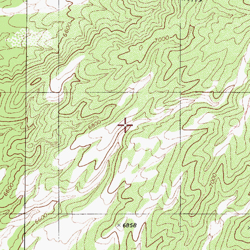 Topographic Map of Omco Spring, NV
