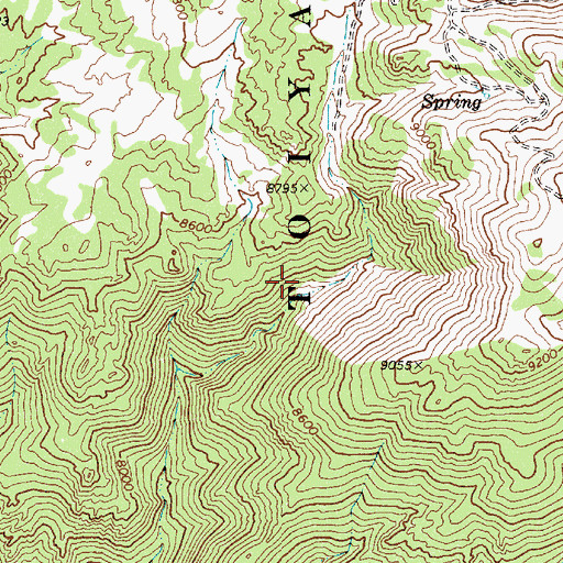 Topographic Map of Red Bird Mine, NV