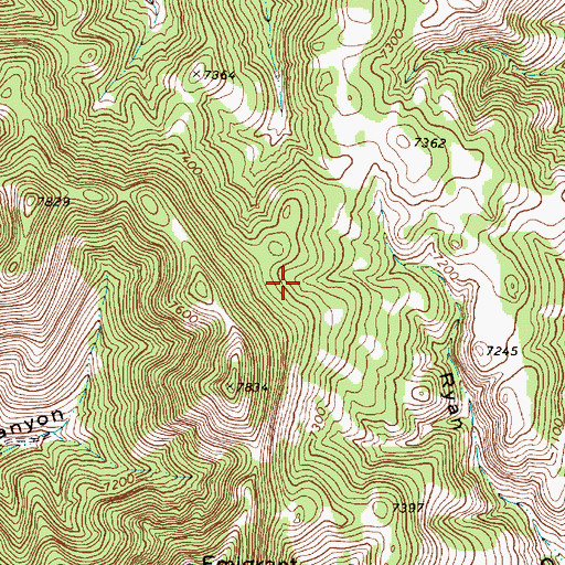 Topographic Map of Ryan Canyon Spring, NV