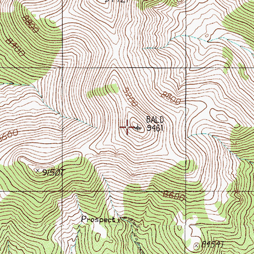 Topographic Map of Bald Mountain, NV
