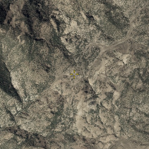 Aerial/Satellite Image of Union Pass, NV