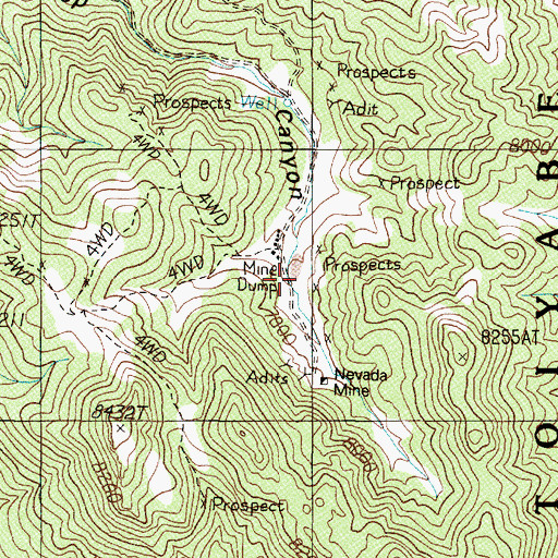 Topographic Map of Knickerbocker Spring, NV