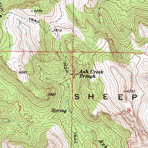 Topographic Map of Ash Creek Trough, AZ