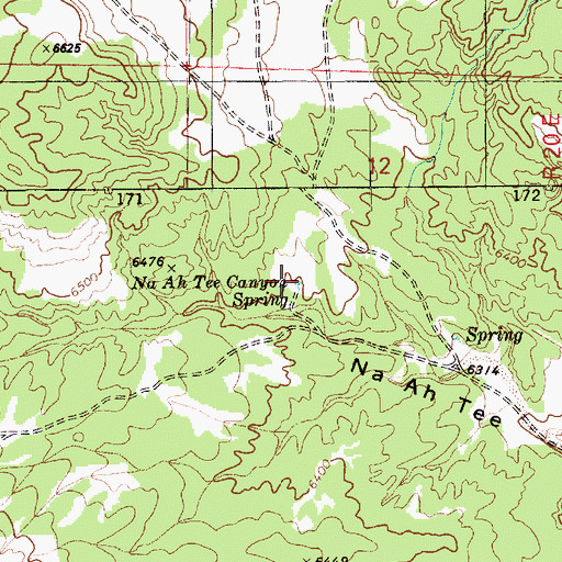 Topographic Map of Na Ah Tee Canyon Spring, AZ