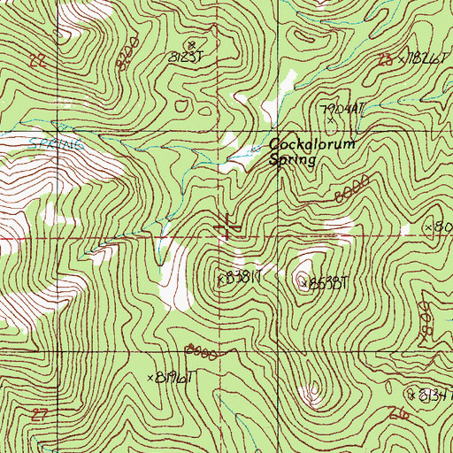 Topographic Map of Wild Horse Spring, NV