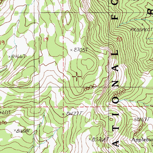 Topographic Map of Coal Burner Spring, NV