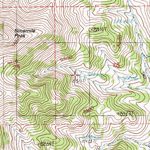 Topographic Map of Pine Spring, NV