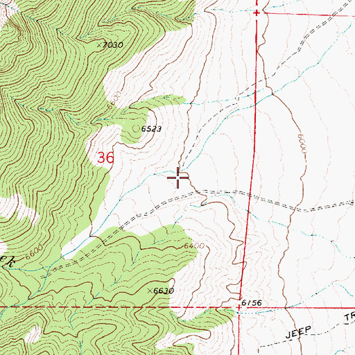 Topographic Map of Niagara Caon, NV