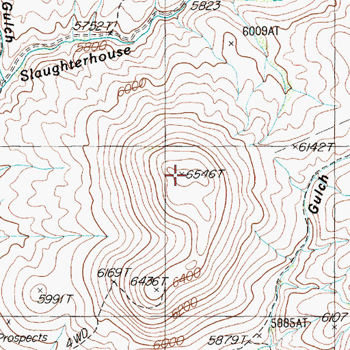 Topographic Map of Bear Foot Mountain, NV