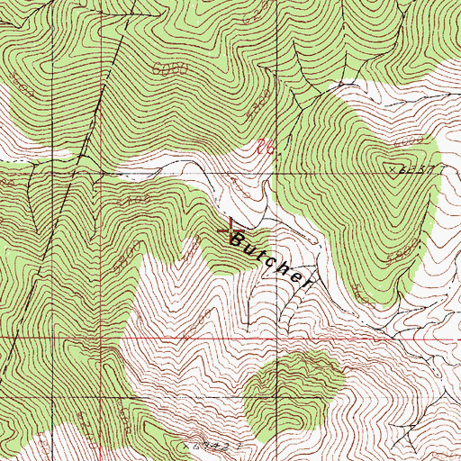 Topographic Map of North Fork Butcher Canyon, NV