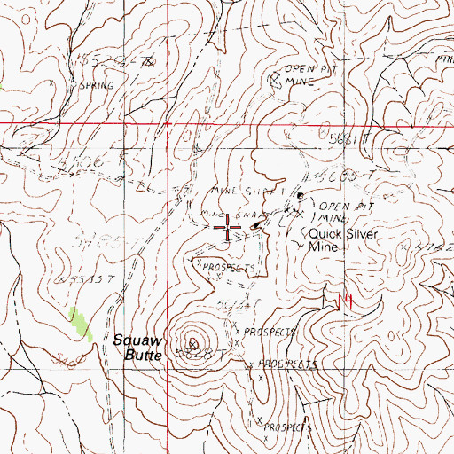 Topographic Map of Quick Silver Mine, NV