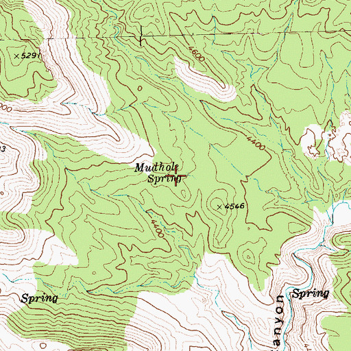 Topographic Map of Mudhole Spring, NV