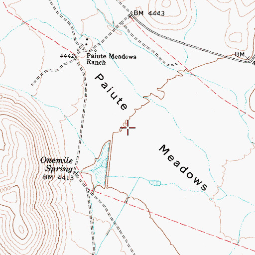 Topographic Map of Paiute Meadows, NV