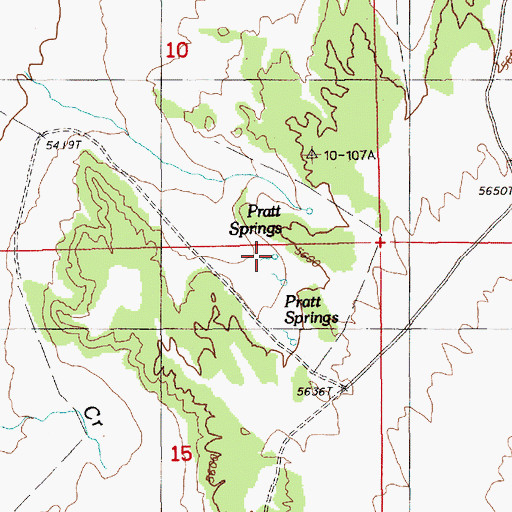 Topographic Map of Pratt Springs, NV