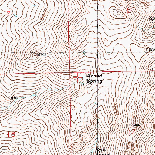 Topographic Map of Anaud Spring, NV