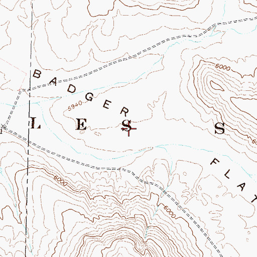 Topographic Map of Badger Flat, NV
