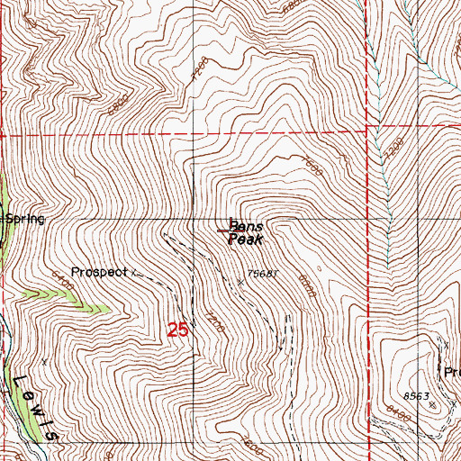 Topographic Map of Bens Peak, NV