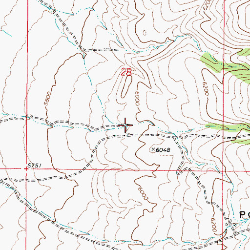 Topographic Map of Cold Springs Canyon, NV
