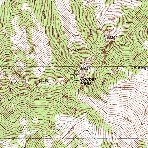 Topographic Map of Cooper Peak, NV