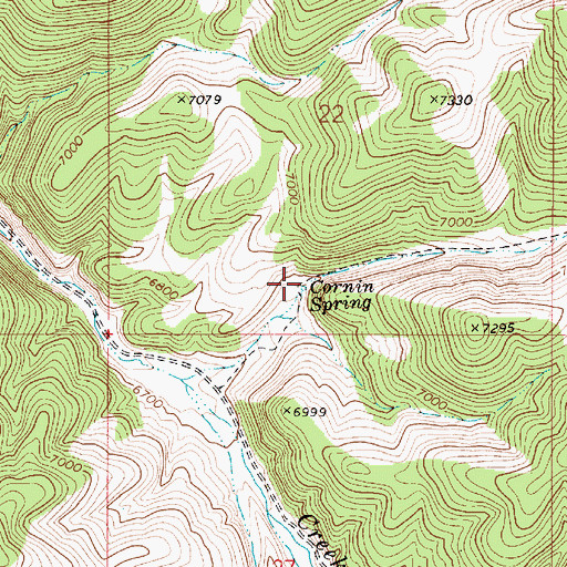 Topographic Map of Cornin Spring, NV