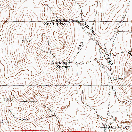 Topographic Map of Erquiaga Spring, NV