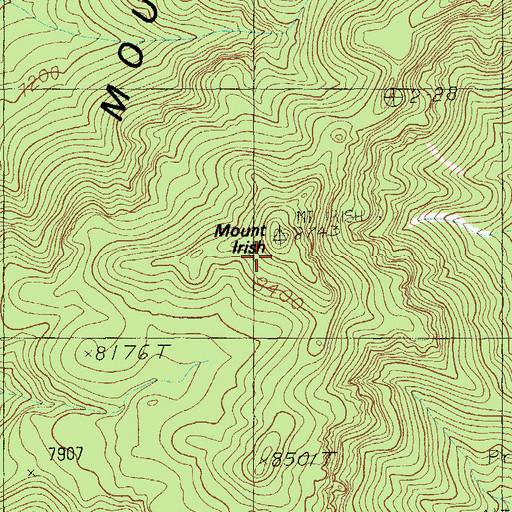Topographic Map of Mount Irish, NV