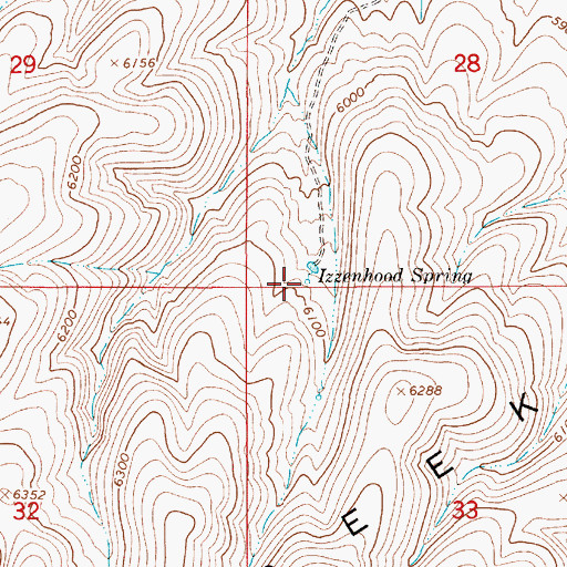 Topographic Map of Izzenhood Spring, NV