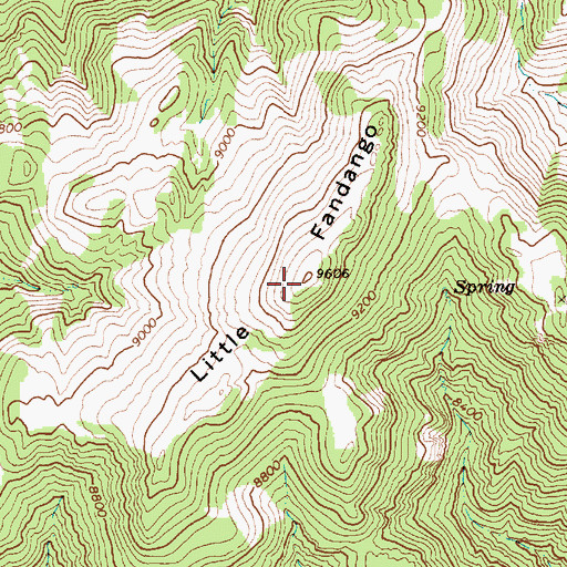 Topographic Map of Little Fandango, NV