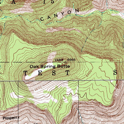 Topographic Map of Oak Spring Butte, NV