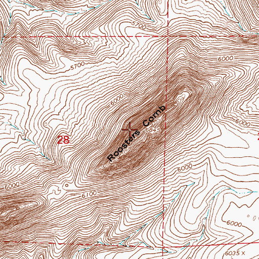 Topographic Map of Roosters Comb, NV