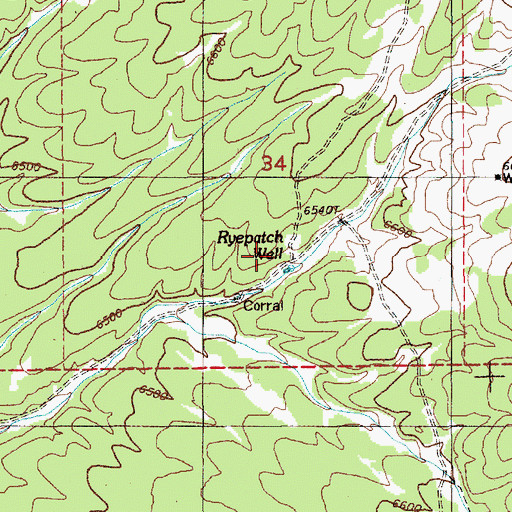 Topographic Map of Ryepatch Well, NV
