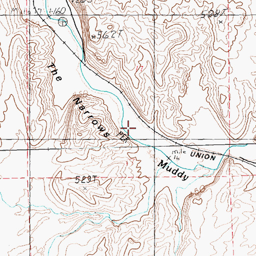Topographic Map of The Narrows, NV