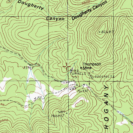 Topographic Map of Thompson Mine, NV