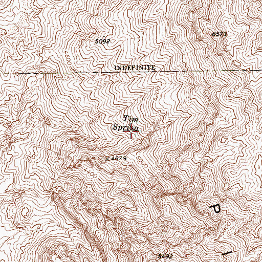 Topographic Map of Tim Spring, NV