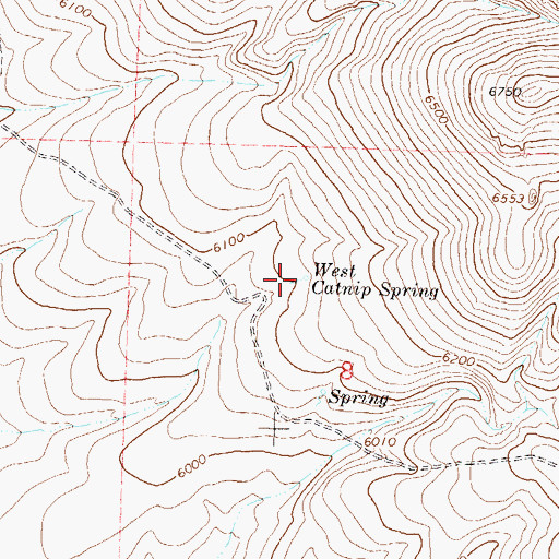 Topographic Map of West Catnip Spring, NV