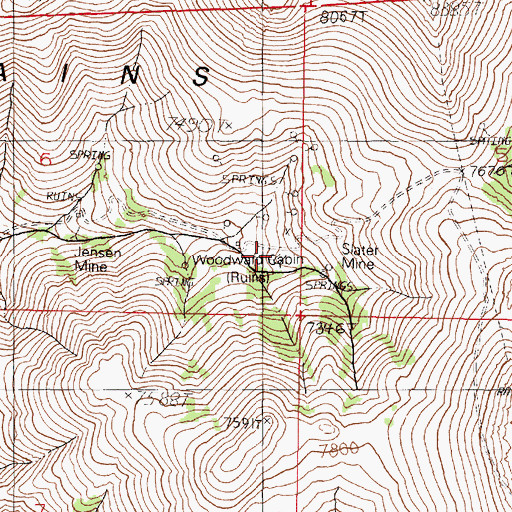 Topographic Map of Woodward Cabin, NV