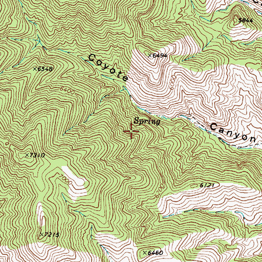 Topographic Map of Coyote Canyon Spring, NV