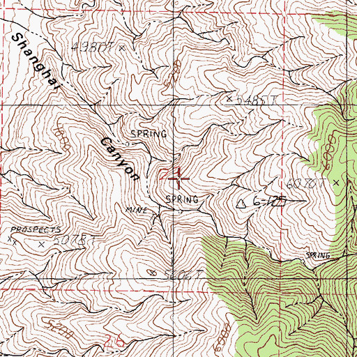 Topographic Map of Shanghai Spring, NV
